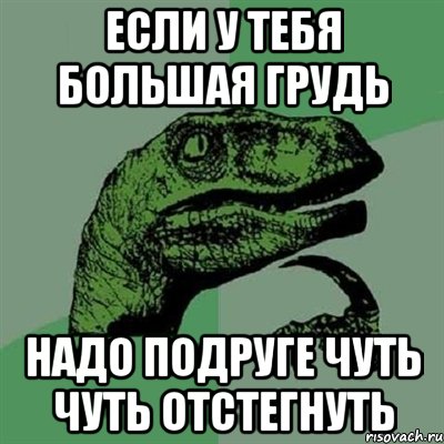 если у тебя большая грудь надо подруге чуть чуть отстегнуть, Мем Филосораптор