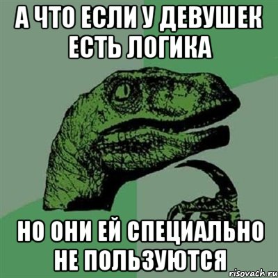 А ЧТО ЕСЛИ У ДЕВУШЕК ЕСТЬ ЛОГИКА НО ОНИ ЕЙ СПЕЦИАЛЬНО НЕ ПОЛЬЗУЮТСЯ, Мем Филосораптор