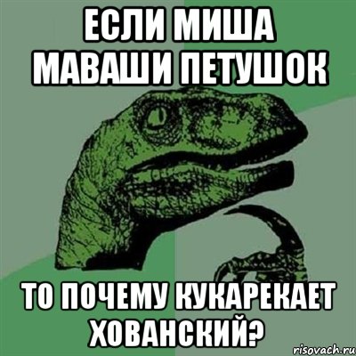 ЕСЛИ МИША МАВАШИ ПЕТУШОК ТО ПОЧЕМУ КУКАРЕКАЕТ ХОВАНСКИЙ?, Мем Филосораптор