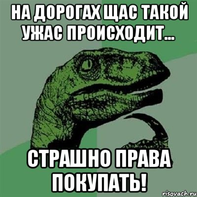 На дорогах щас такой ужас происходит... страшно права покупать!, Мем Филосораптор