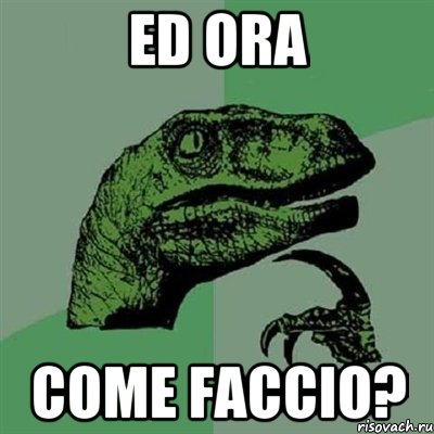 Ed ora come faccio?, Мем Филосораптор