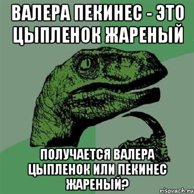 Валера пекинес - это Цыпленок жареный получается Валера цыпленок или пекинес жареный?, Мем Филосораптор