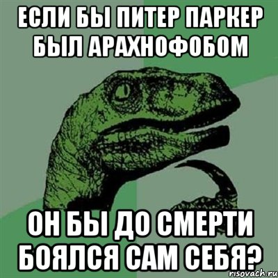 Если бы Питер Паркер был арахнофобом Он бы до смерти боялся сам себя?, Мем Филосораптор