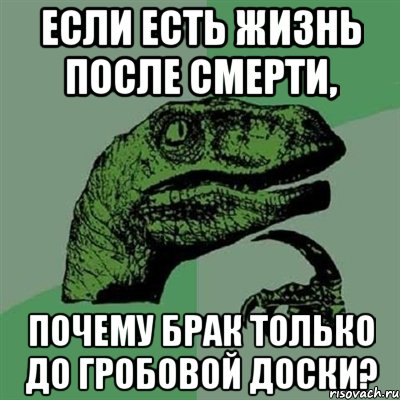 Если есть жизнь после смерти, почему брак только до гробовой доски?, Мем Филосораптор