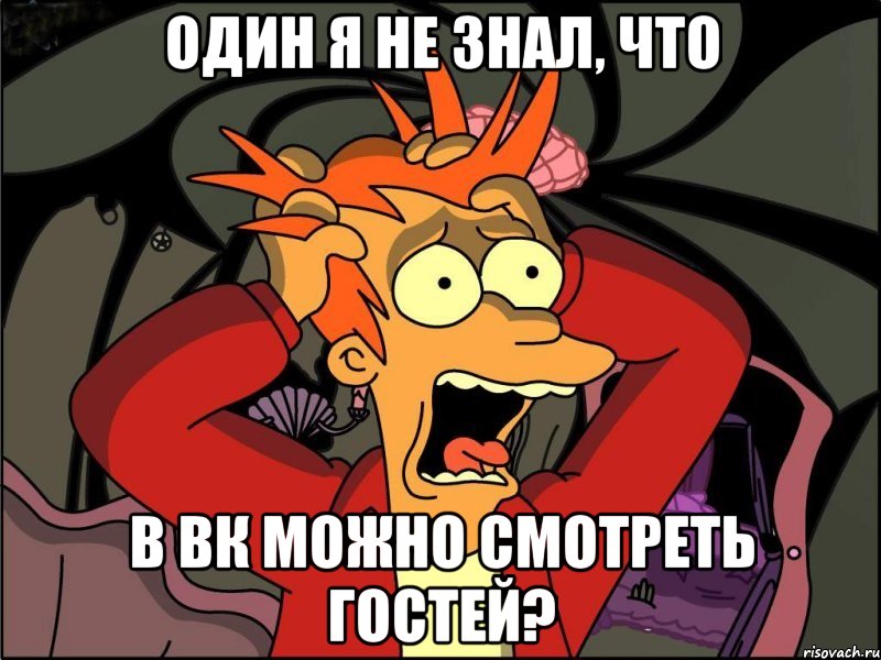 Один я не знал, что в вк можно смотреть гостей?, Мем Фрай в панике