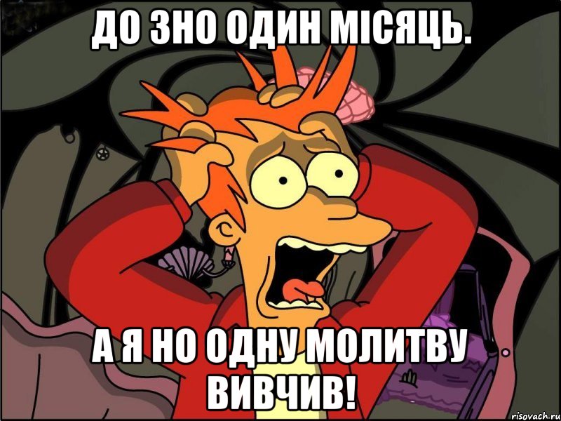 ДО ЗНО ОДИН МІСЯЦЬ. А Я НО ОДНУ МОЛИТВУ ВИВЧИВ!, Мем Фрай в панике