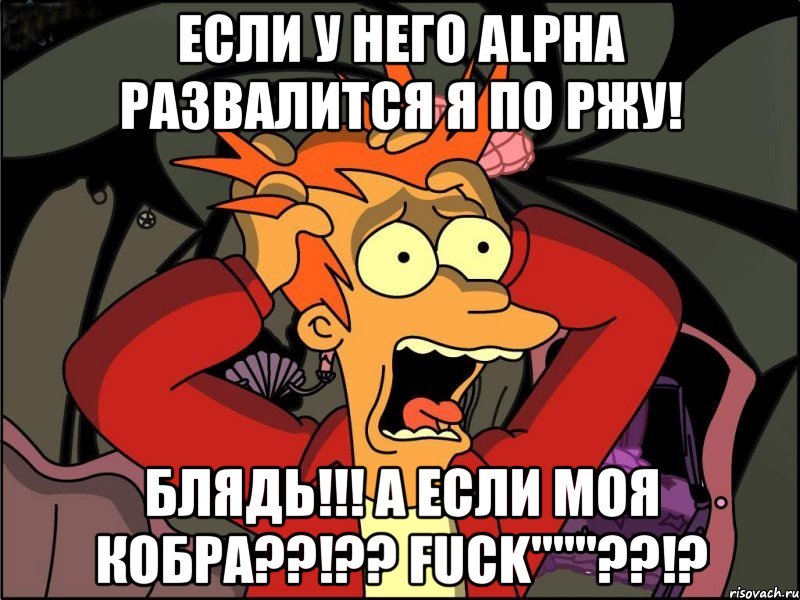 Если у него Alpha развалится я по ржу! Блядь!!! А если моя кобра??!?? Fuck"""??!?, Мем Фрай в панике