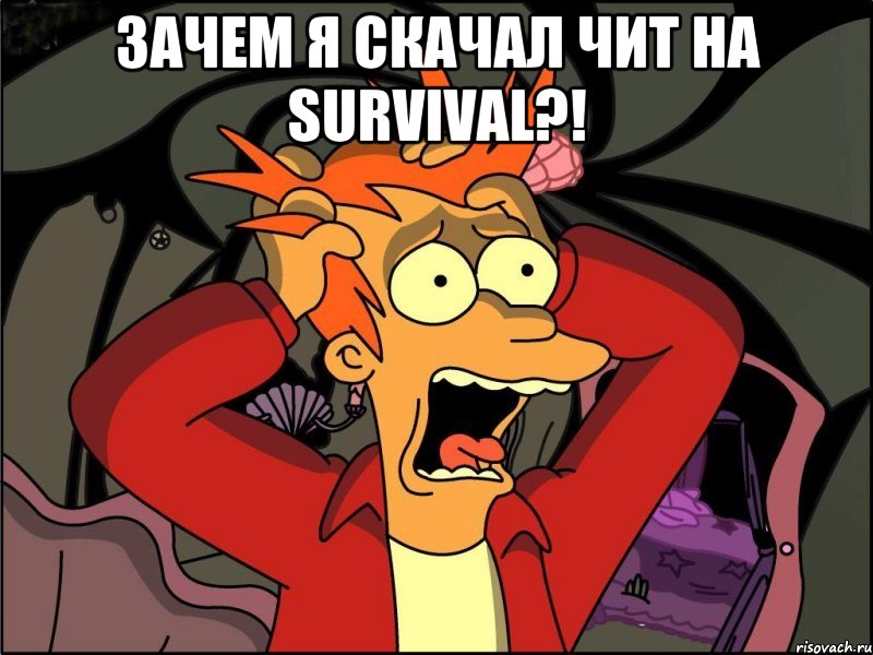 Зачем я скачал чит на Survival?! , Мем Фрай в панике