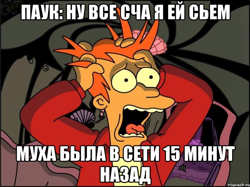 паук: ну все сча я ей сьем муха была в сети 15 минут назад, Мем Фрай в панике