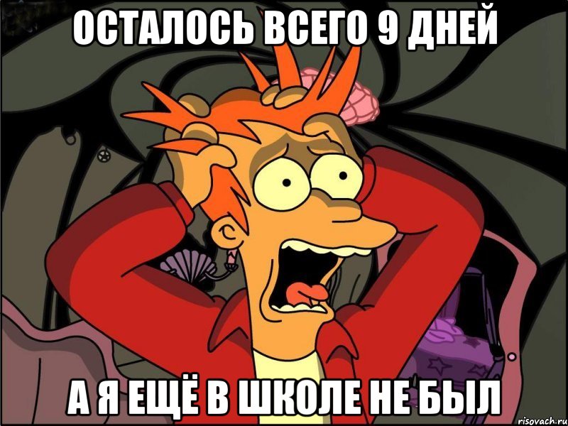 Осталось всего 9 дней а я ещё в школе не был, Мем Фрай в панике