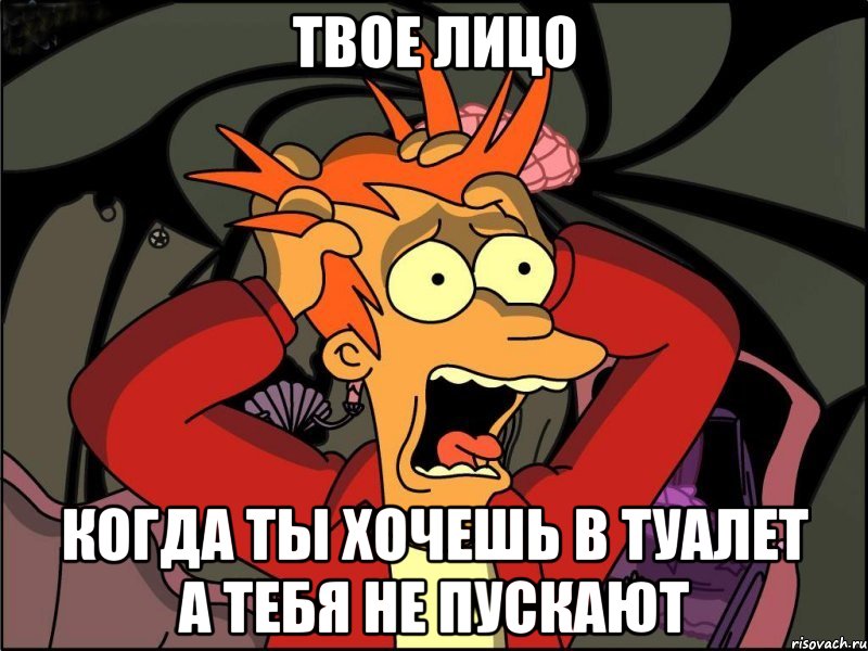 твое лицо когда ты хочешь в туалет а тебя не пускают, Мем Фрай в панике