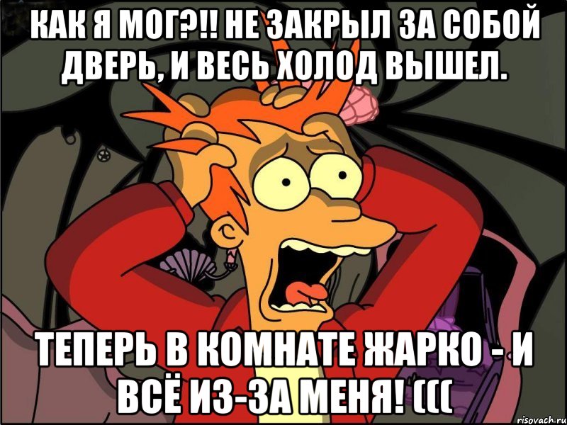 Как я мог?!! Не закрыл за собой дверь, и весь холод вышел. Теперь в комнате жарко - и всё из-за меня! (((, Мем Фрай в панике