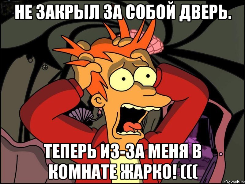 Не закрыл за собой дверь. Теперь из-за меня в комнате жарко! (((, Мем Фрай в панике