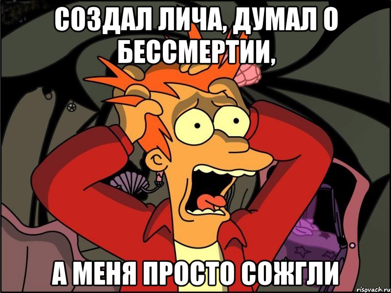 создал лича, думал о бессмертии, а меня просто сожгли, Мем Фрай в панике