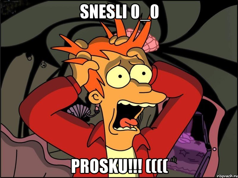 snesli 0_0 prosku!!! ((((, Мем Фрай в панике