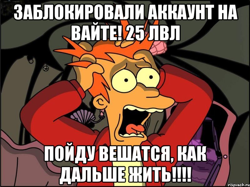 Заблокировали аккаунт на Вайте! 25 лвл Пойду вешатся, как дальше жить!!!!, Мем Фрай в панике