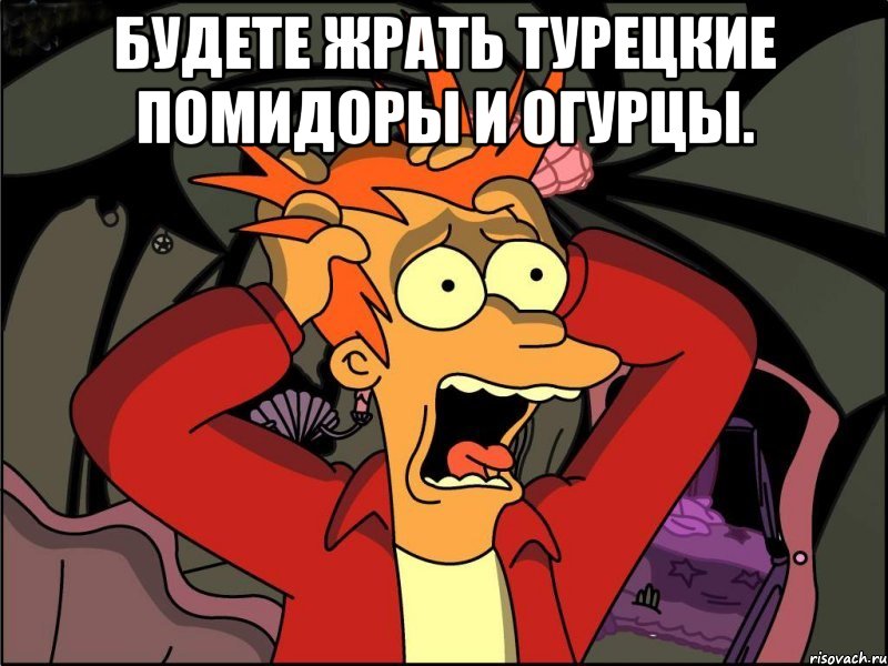 Будете жрать турецкие помидоры и огурцы. , Мем Фрай в панике