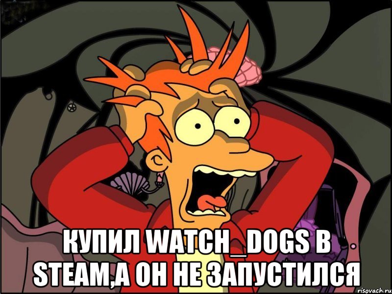  Купил Watch_Dogs в steam,а он не запустился, Мем Фрай в панике