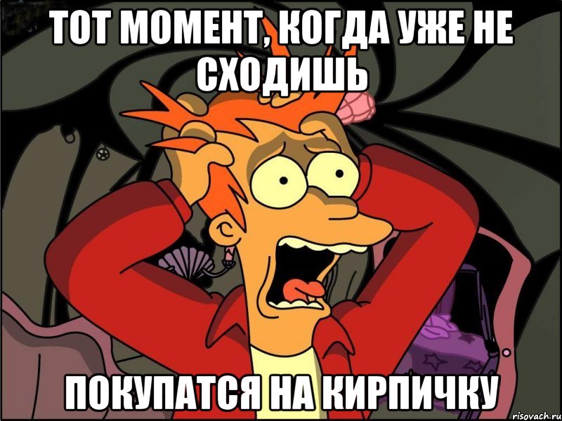 тот момент, когда уже не сходишь покупатся на кирпичку, Мем Фрай в панике