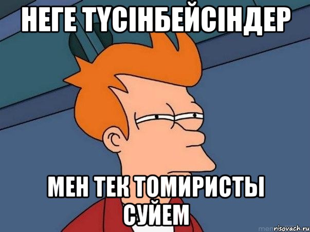 неге түсінбейсіндер мен тек томиристы суйем, Мем  Фрай (мне кажется или)