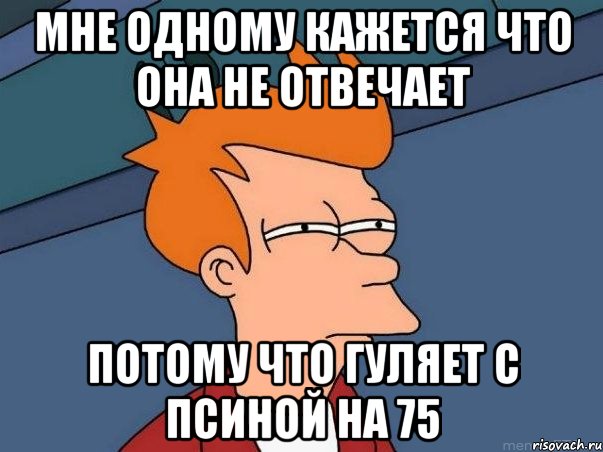 мне одному кажется что она не отвечает потому что гуляет с псиной на 75, Мем  Фрай (мне кажется или)