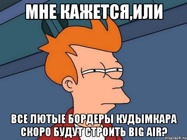 МНЕ КАЖЕТСЯ,ИЛИ ВСЕ ЛЮТЫЕ БОРДЕРЫ КУДЫМКАРА СКОРО БУДУТ СТРОИТЬ BIG AIR?, Мем  Фрай (мне кажется или)