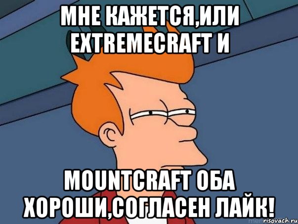 Мне кажется,или ExtremeCraft и MountCraft оба хороши,согласен лайк!, Мем  Фрай (мне кажется или)