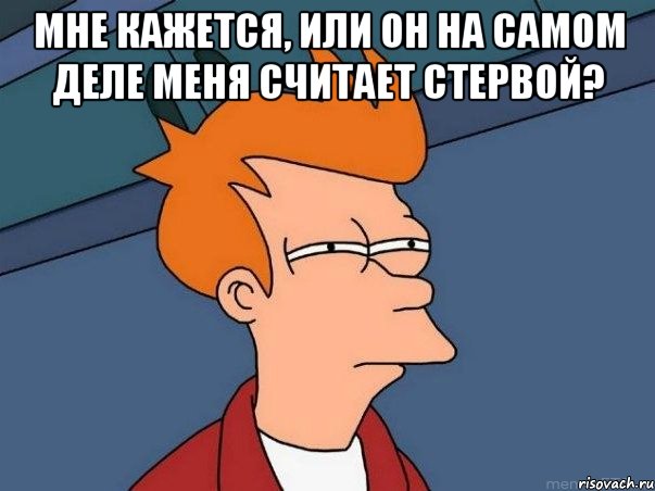 Мне кажется, или он на самом деле меня считает стервой? , Мем  Фрай (мне кажется или)