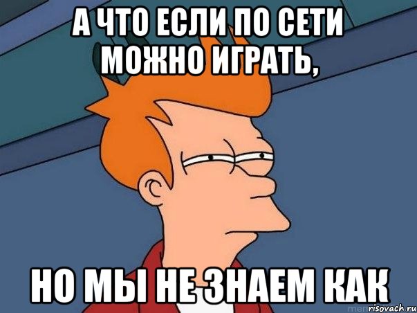 А что если по сети можно играть, но мы не знаем как, Мем  Фрай (мне кажется или)