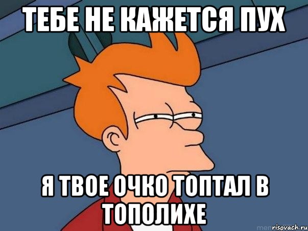 Тебе не кажется Пух Я твое очко топтал в тополихе, Мем  Фрай (мне кажется или)