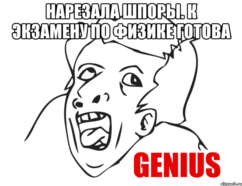 Нарезала шпоры. К экзамену по физике готова , Мем  Genius