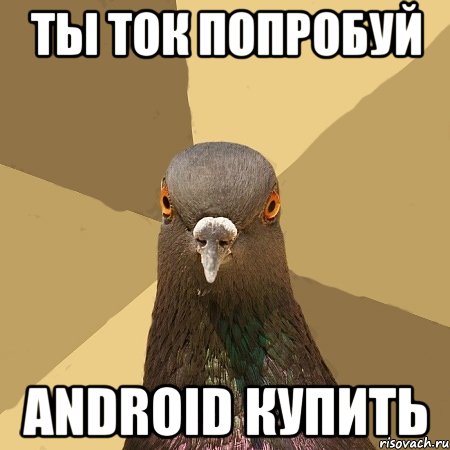 ты ток попробуй android купить, Мем голубь