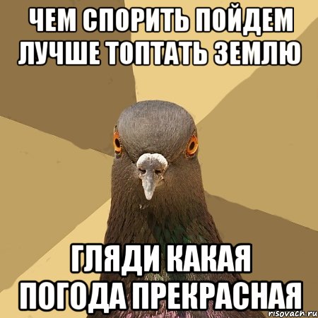 Чем спорить пойдем лучше топтать землю Гляди какая погода прекрасная, Мем голубь