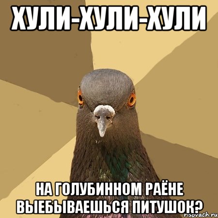 Хули-хули-хули На голубинном раёне выебываешься питушок?, Мем голубь