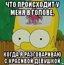 что происходит у меня в голове, когда я разговариваю с красивой девушкой, Мем  Гомер Симпсон