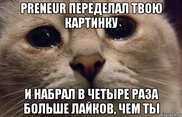 PRENEUR переделал твою картинку и набрал в четыре раза больше лайков, чем ты, Мем   В мире грустит один котик