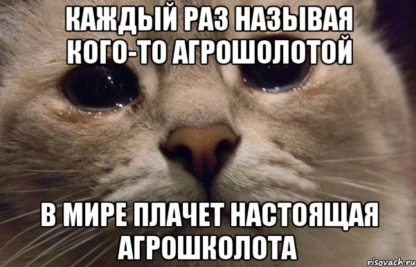 каждый раз называя кого-то агрошолотой в мире плачет настоящая агрошколота, Мем   В мире грустит один котик