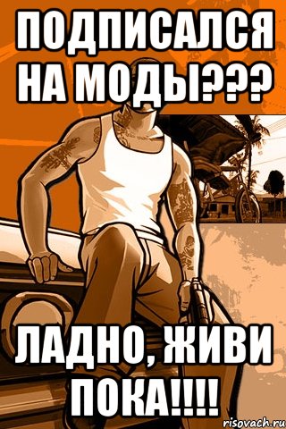 Подписался на Моды??? Ладно, живи пока!!!!, Мем GTA