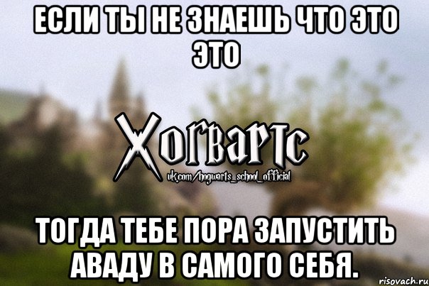 Если ты не знаешь что это это тогда тебе пора запустить Аваду в самого себя., Мем Хогвартс