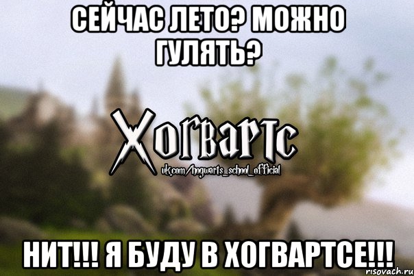 Сейчас лето? Можно гулять? Нит!!! Я буду в Хогвартсе!!!, Мем Хогвартс