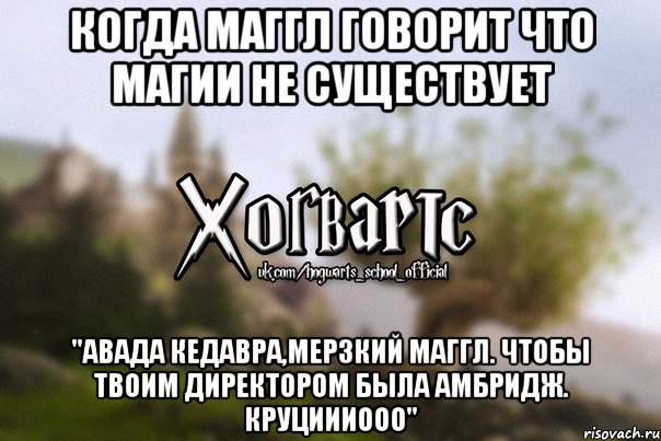 Когда маггл говорит что Магии не существует "АВАДА КЕДАВРА,МЕРЗКИЙ МАГГЛ. ЧТОБЫ ТВОИМ ДИРЕКТОРОМ БЫЛА АМБРИДЖ. КРУЦИИИООО", Мем Хогвартс