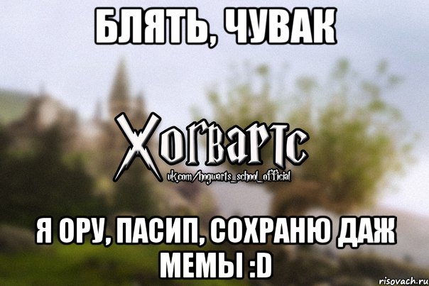 блять, чувак я ору, пасип, сохраню даж мемы :D, Мем Хогвартс