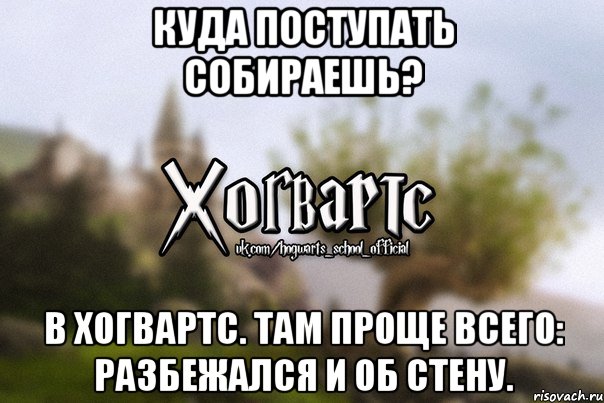 Куда поступать собираешь? В Хогвартс. Там проще всего: разбежался и об стену., Мем Хогвартс