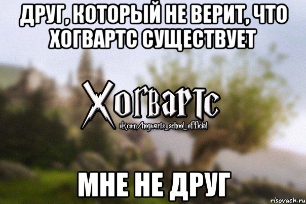 друг, который не верит, что Хогвартс существует мне не друг, Мем Хогвартс