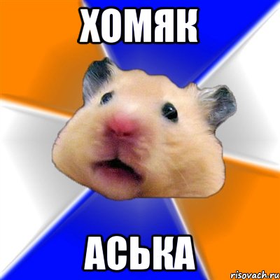 Хомяк АСЬКА, Мем Хомяк