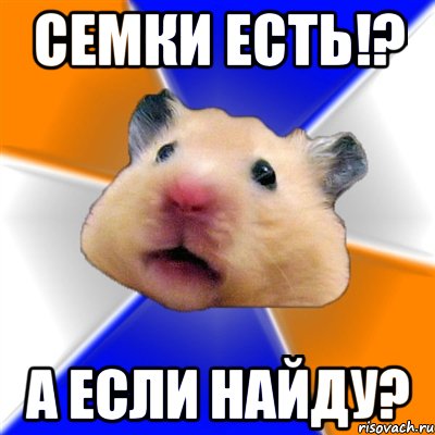 Семки есть!? А если найду?, Мем Хомяк