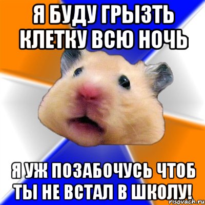 Я буду грызть клетку всю ночь я уж позабочусь чтоб ты не встал в школу!, Мем Хомяк