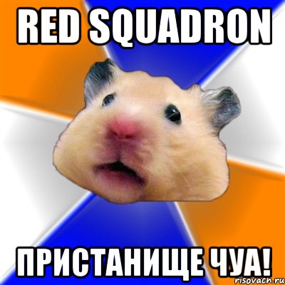 Red Squadron Пристанище Чуа!, Мем Хомяк