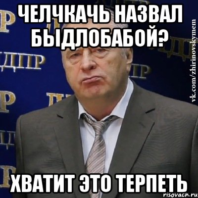 Челчкачь назвал быдлобабой? Хватит это терпеть, Мем Хватит это терпеть (Жириновский)