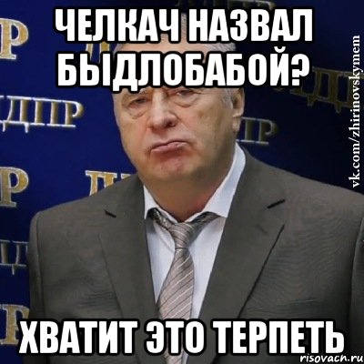 Челкач назвал быдлобабой? Хватит это терпеть, Мем Хватит это терпеть (Жириновский)